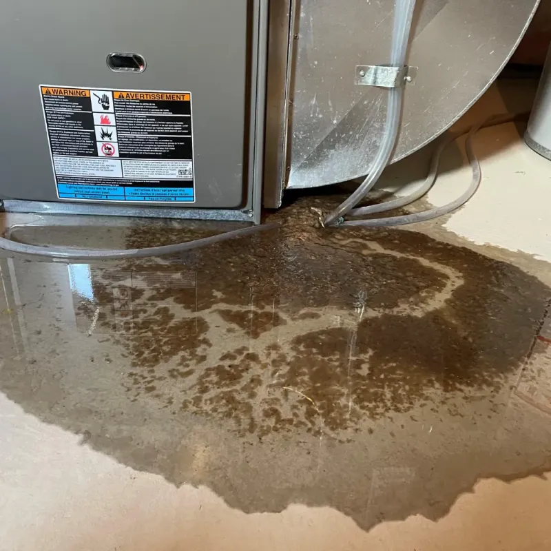 Appliance Leak Cleanup in Montevallo, AL